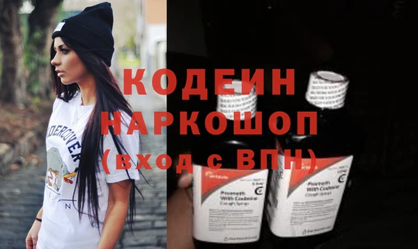 СК Бронницы