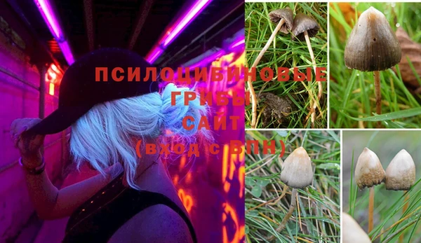 СК Бронницы
