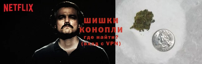 кокс Бородино