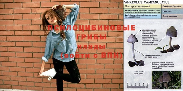гашиш Пересвет