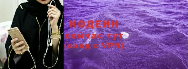 СК Бронницы