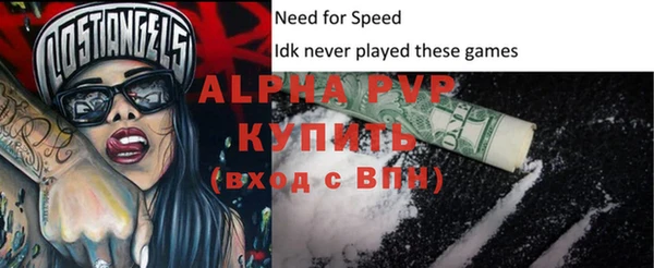 СК Бронницы